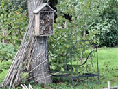 Les Tilleuls de Saint-Jean