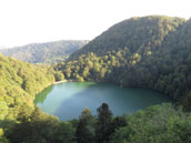 Le Torrent