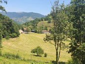 Le Torrent