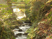 Le Torrent