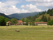 Le Torrent