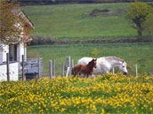 Les Hauts de Toulvern