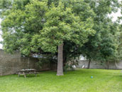 La Tourelle Normande