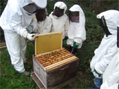 La Ferme de Trénube