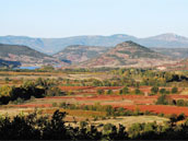 Gîte de la Vache Rouge