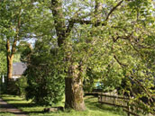 Vareilles Nature