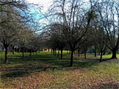 Le grand gîte de Vendeuvre