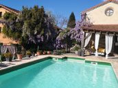La Vigne de Félizier
