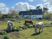 La villa aux chevaux