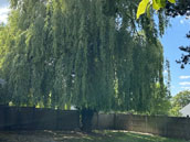 La Villa d'Emma