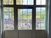 Villa Rose