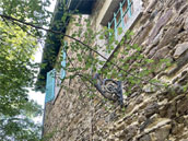 Villa Rose
